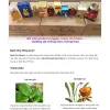 Mẫu website
