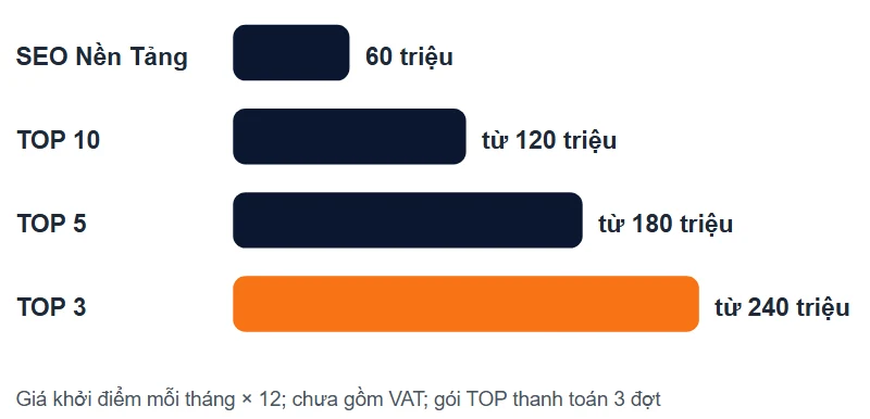 Biểu đồ chi phí SEO 12 tháng tại Net Solutions tính từ giá khởi điểm: SEO Nền Tảng 60 triệu, TOP 10 từ 120 triệu, TOP 5 từ 180 triệu, TOP 3 từ 240 triệu, chưa gồm VAT