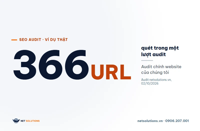 Con số 366 URL: số trang được quét trong một lượt SEO audit website netsolutions.vn ngày 02/10/2026