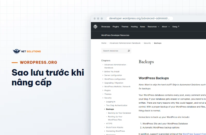 Ảnh chụp trang Backups của WordPress.org trong tài liệu quản trị nâng cao, hướng dẫn sao lưu database và tệp