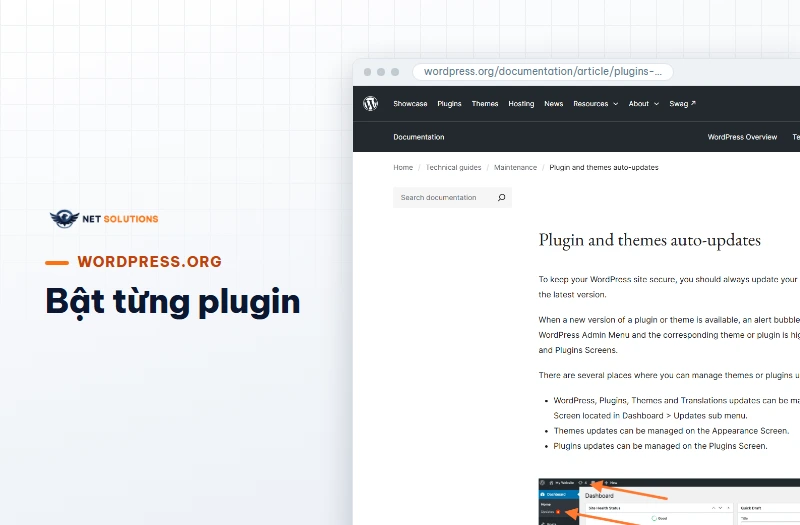 Trang tài liệu cập nhật tự động plugin và theme trên WordPress.org, mục bật cập nhật tự động cho plugin
