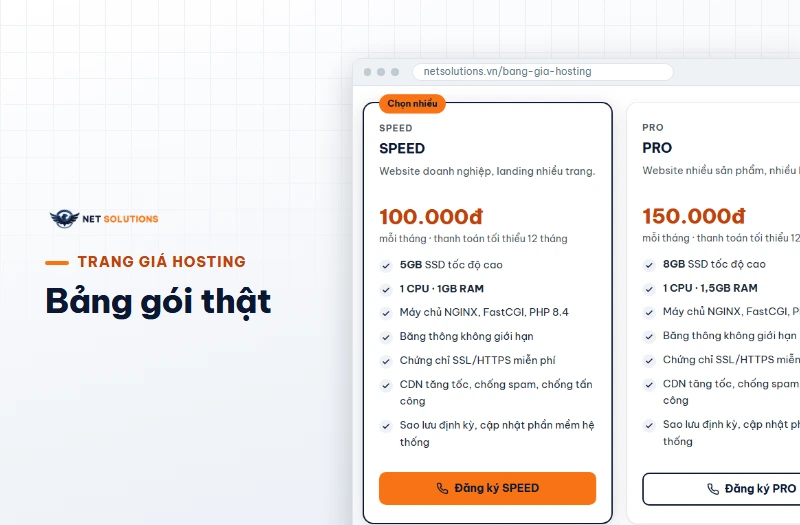 Trang bảng giá hosting của Net Solutions hiển thị gói SPEED giá 100.000đ và gói PRO giá 150.000đ mỗi tháng