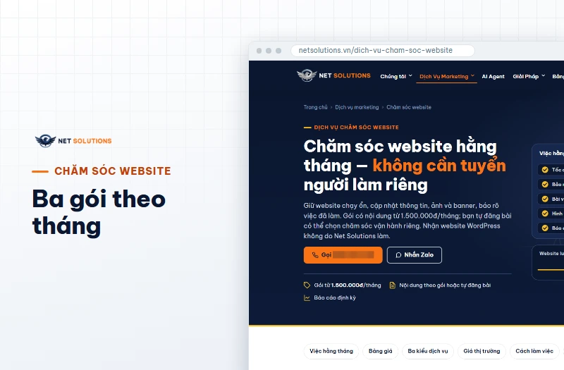 Ảnh chụp trang Dịch vụ chăm sóc website của Net Solutions trên máy tính, giới thiệu ba gói chăm sóc theo tháng