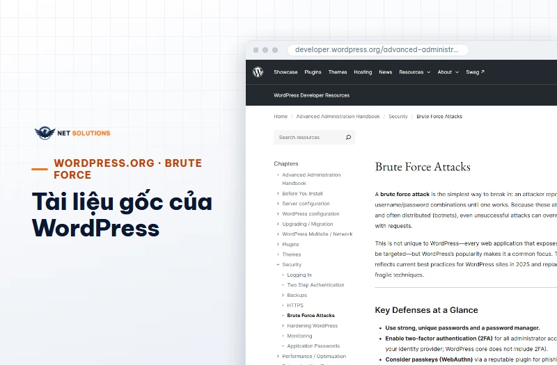 Ảnh chụp trang Brute Force Attacks của developer.wordpress.org trên máy tính