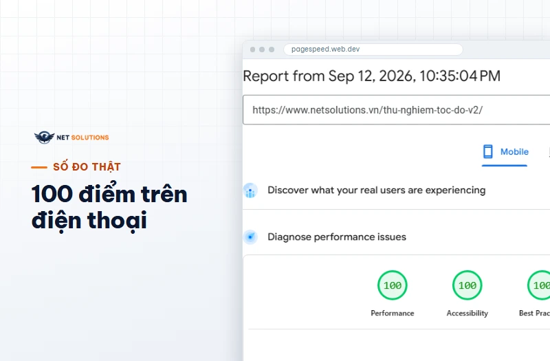 Báo cáo PageSpeed Insights của trang thử trên netsolutions.vn: điểm hiệu năng 100 và trợ năng 100 trên điện thoại
