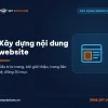 Dịch vụ xây dựng nội dung website của Net Solutions